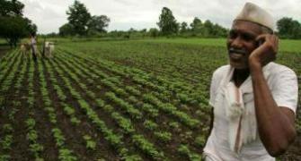 Scheme to make scientists adopt villages, promote best farming practices