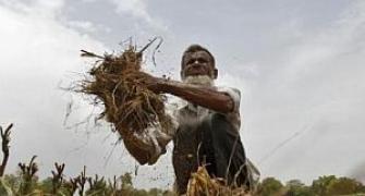Few flaws that are plaguing India's agriculture