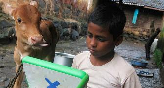 45% growth in active internet users in rural India