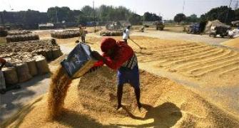 Global food prices drop 1.6% in 2013