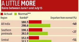 Monsoon revival might not make up for rainfall deficit