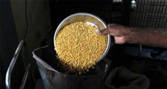 Govt may link food subsidy with Aadhaar