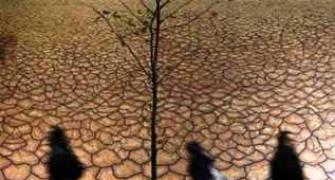 North India more vulnerable to El Nino, says Skymet chief