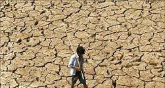 El Nino may impact India's GDP by 1.75%: Assocham