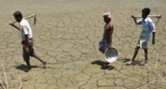 El Nino impact, slow growth are hurdles for new govt: Report