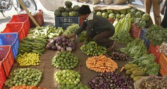 Vegetable prices plunge by up to 44% the past 3 weeks