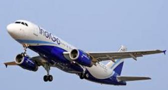 IndiGo may place big aircraft order by early 2015