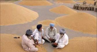 PM announces higher aid for rain-affected farmers