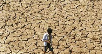 IMD or Skymet: Who will get El Nino's impact on monsoon right?