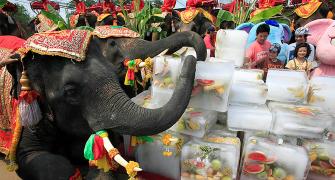 Can Indian elephant take on Chinese dragon? Not in next 20 yrs