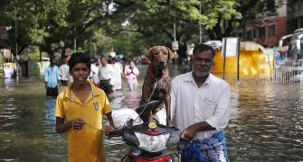 India Inc's goodwill deluge to speed up Chennai flood relief