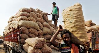 Economic Survey pegs growth rate at over 8%
