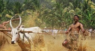 Govt raises farm credit target to Rs 8.5 lakh crore
