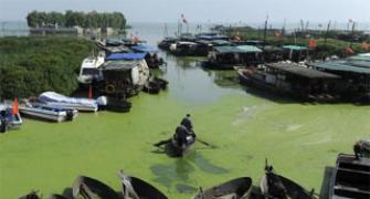 Govt plans to convert 101 rivers into waterways: Gadkari