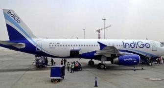 No plans to launch airlines abroad, says IndiGo president