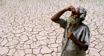 India downgrades monsoon forecast, stokes drought fears