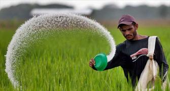 Irrigation, rural job schemes to be linked