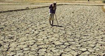 Rural distress: Madhya Pradesh faces the brunt of monsoon failure