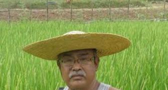 A Manipur farmer grows black rice that cures cancer