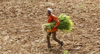Budget 2016: Modi's panacea for rural India is as hopeless as ever