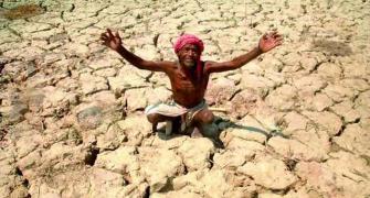 'Only 10% of farmers gain from loan waivers'
