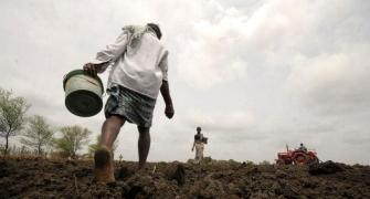 Monsoon delay not to affect crop sowing: IMD