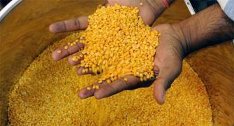 Tur dal price on rise yet again
