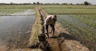 Deflation stalks India, farm loan waivers might hit GDP by 0.7%