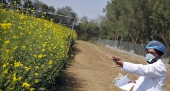 Farm scientists against bureaucrats as recruitment panel head