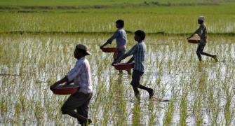 13 economists laud Telangana's cash support for farmers, red-flag loan waivers
