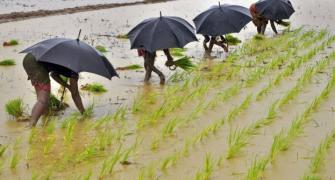 Skymet advises farmers to delay crop sowing