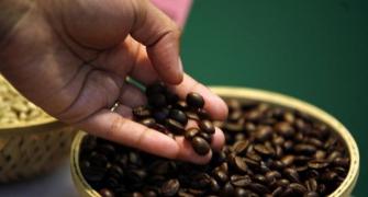 Rains in south India take the steam out of coffee