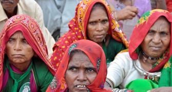Tribal eviction: 'SC order a setback for conservation in India'