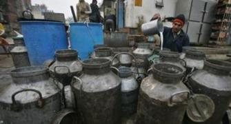 After a long lull, milk prices set to rise by Rs 2-4 a litre
