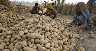 Potato prices jump by 25% due to crop damage, rains