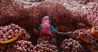 Onion prices shoot up as export curbs are lifted