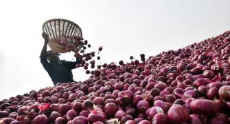 Maha farmer kills self over onion price crash