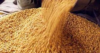 Traders want reduction in duty on chana, govt says no