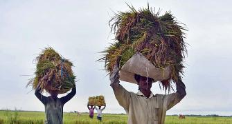 Govt hikes MSP for paddy, okays Rs 50k cr for MSMEs