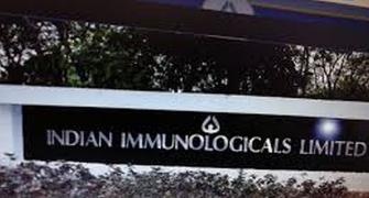 Indian Immunologicals to set up new vaccine plant