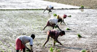 RSS outfit: 'Farm law gives corporates upper hand'