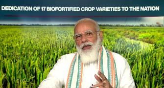 Will Modi's farm reforms ensure food security?