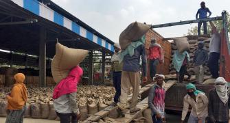 India's wheat procurement subpar despite export ban