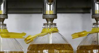 Why prices of edible oils may go up