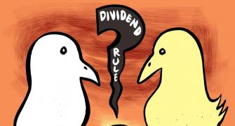 Dividend distribution policy must for top listed cos