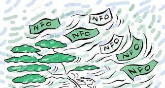 NFO kitty shrinks as new equity fund launches dry up