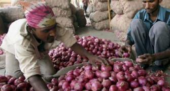 Govt sells onion  at Rs 35/kg in Delhi-NCR, Mumbai