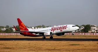 SpiceJet told to pay Rs 75 cr to Kalanithi Maran