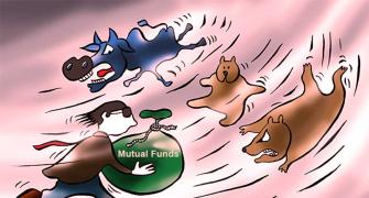 Review Your Mutual Fund Portfolios!