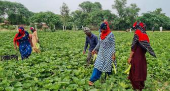 Nirmalaji's Huge Rural Sector Challenge